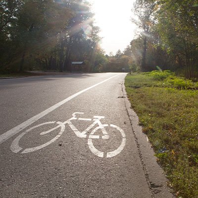 Leaves placed on the grass