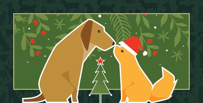 Book your pet photos with Santa at the Burlington Animal Shelter on Saturday, November 22, between 10 a.m. and 2 p.m.