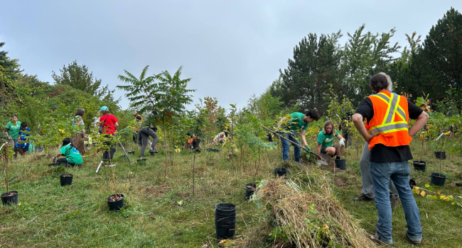 Photo of community tree planting event
