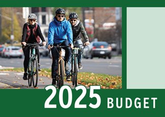 graphic - Budget 2025