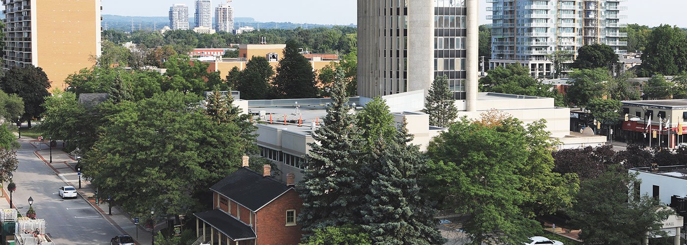 Urban trees in downtown Burlington