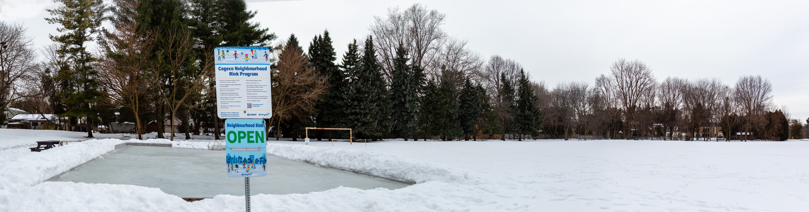 Neighbourhood Rinks