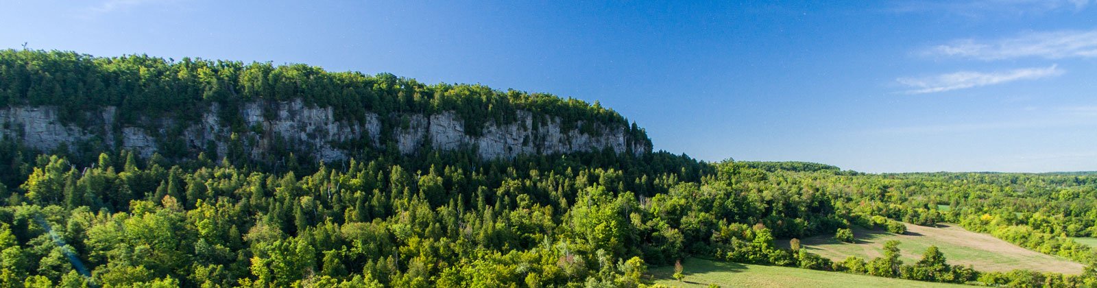Photo of the escarpment in summer with green trees