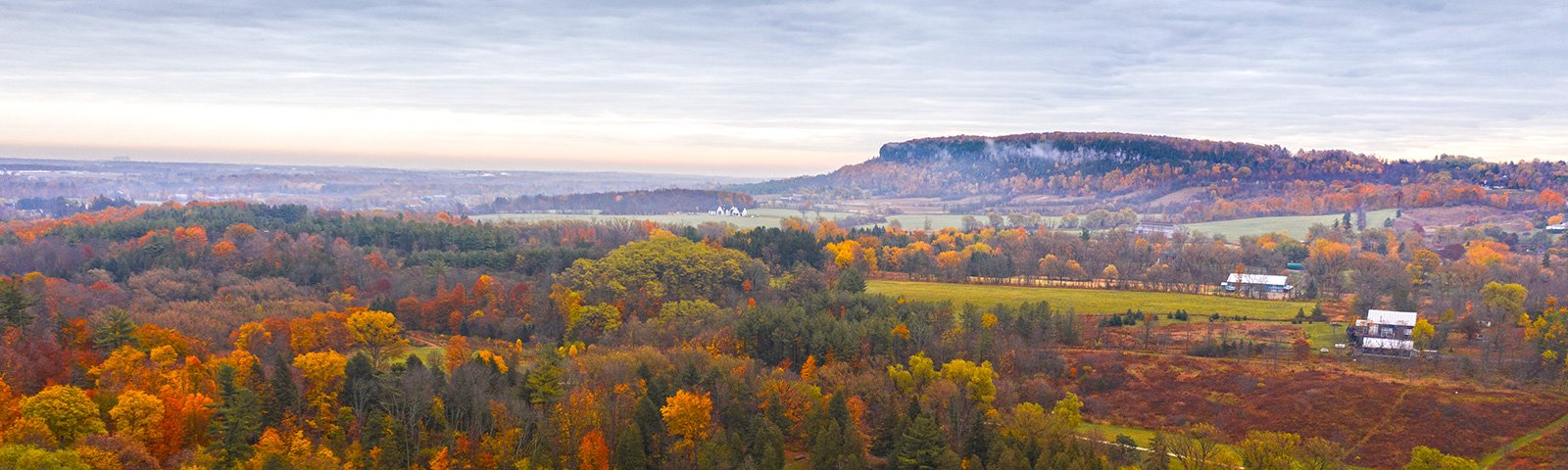 Bird's eye view of Burlington's fall coloured tree canopy and escarpment.